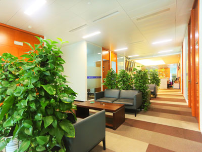 上海行政糾紛律師